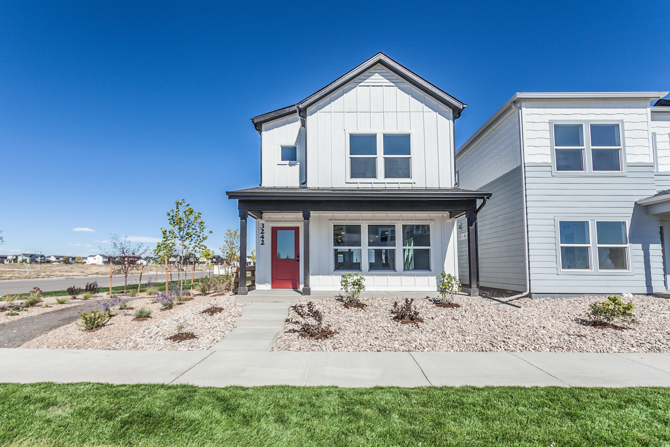 Marigold – 3242 Crusader